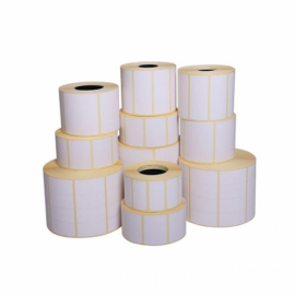 Rouleau de 225 etiquettes papier mat EPSON 102mmx152mm pour imprimante C3500